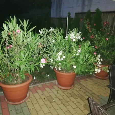 Angel's Vendeghaz